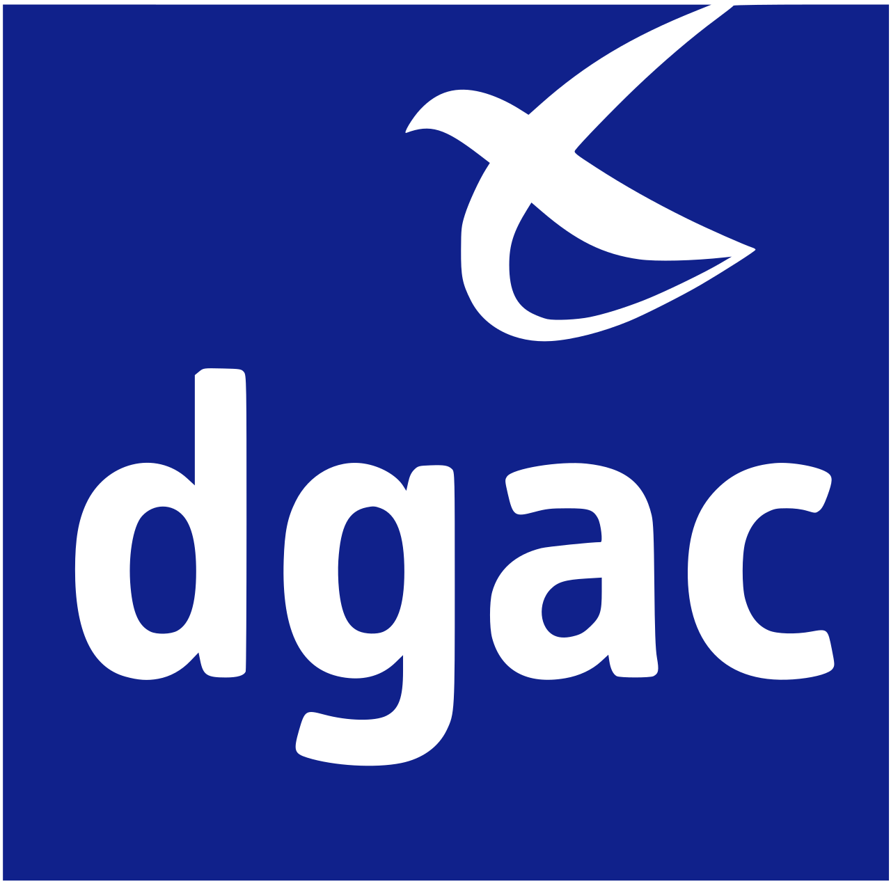 Conforme DGAC